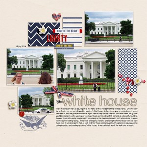 MOC5 #18 - White House