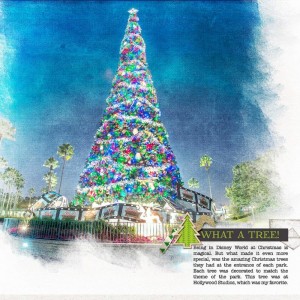 What a Tree!