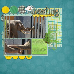 1st meeting