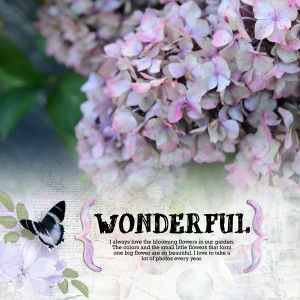 Wonderful