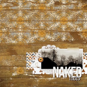 Naked Trees
