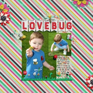 Love Bug