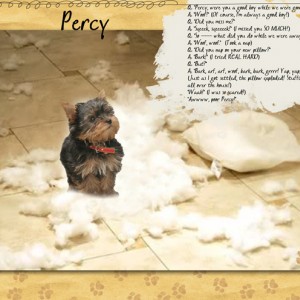 Percy