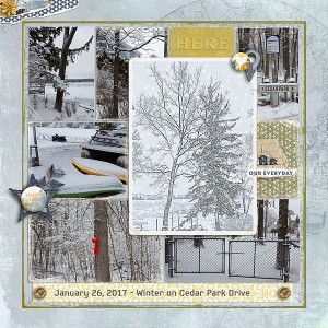 Slow Scrap.Winter