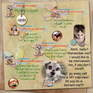 Feb Journaling Challenge