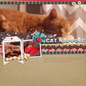 Cat Napping (Custom)