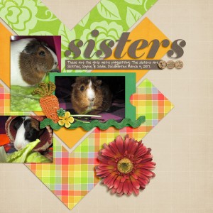 Piggy Sisters
