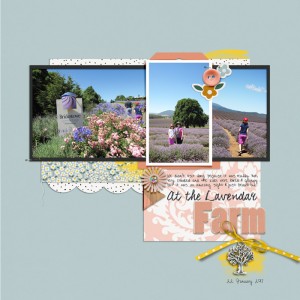 SWL MIS Mar- lavendar farm