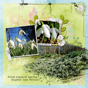 Snowdrops-web