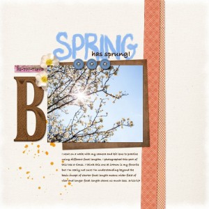 03-12speedscrap - spring has sprung