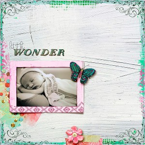 Little Wonder