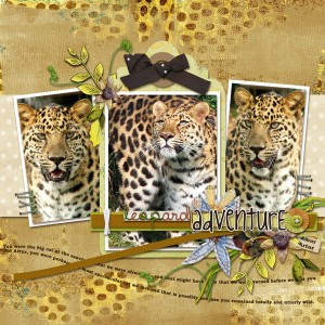 Safari-photoemphasis_vol07_