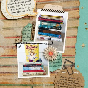 Thrift-Shop-Books