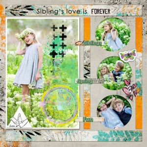 Ile_March2017template_M3_Feb17-vi