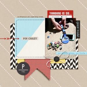 Pin Crazy