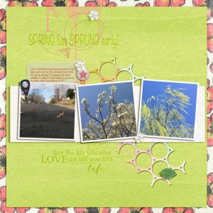 PRD March challenge _ early spring