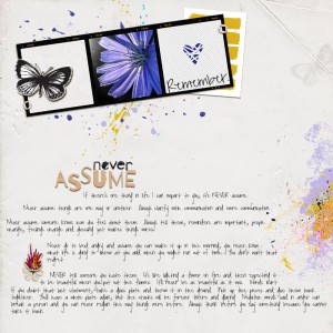 Never Assume