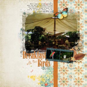 Breakfast with the Birds