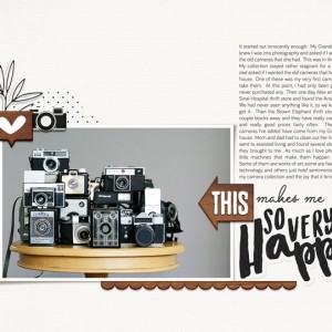 Camera collection