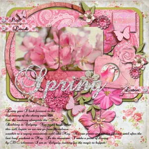 Cherry Blossoms