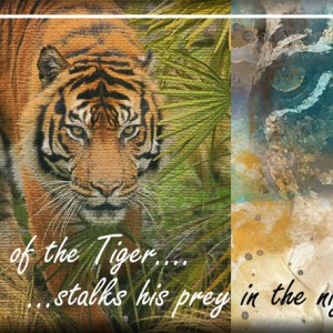 ATC-2017-53-Eye-of-the-Tiger
