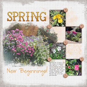 Spring (April Journal Challenge)