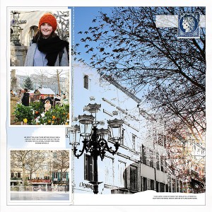 Carcassonne in Winter