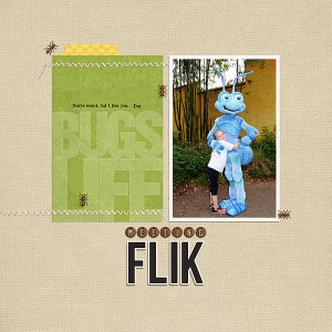 Meeting Flik- January 2017