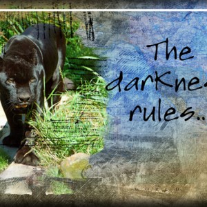 ATC-2017-62--The-Darkness-Rules