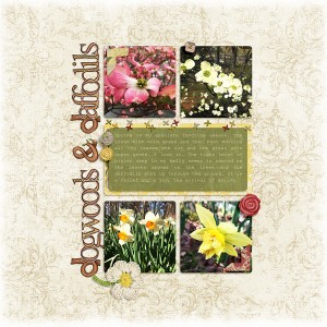 Dogwoods & Daffodils