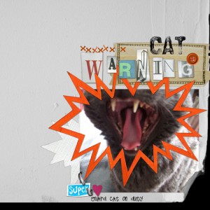Guard Cat