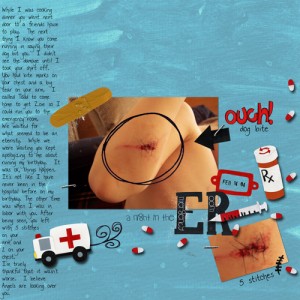 Ouch-DogBite