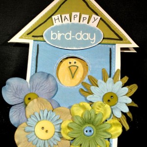 Happy Bird-day