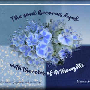ATC-2017-68-The-Soul (May Monthly Muse Wk 1)