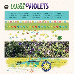 Wild Violets
