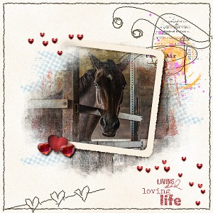 Horse