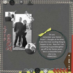 Swl-MIS Speed Scrap