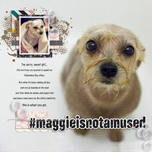 #maggieisnotamused (Template Challenge, May 2017)