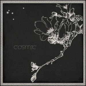 COSMIC