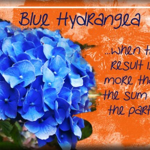 ATC-2017-84-Blue-Hydrangea (May Monthly Muse Wk 4)