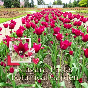 Niagara Parks Botanical Garden, left side