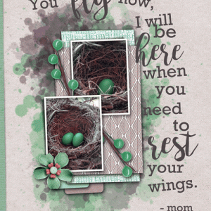 Birds-nest-8-web