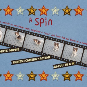 A-Spin