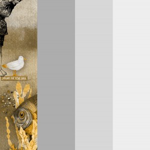 2017-06_June-TLP_AJ_1Muted-Sea_web