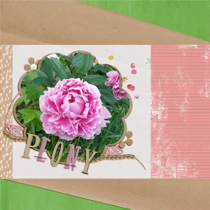 170530_peonies3
