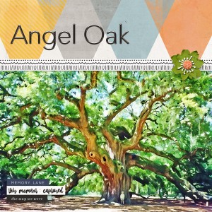 Angel Oak Web