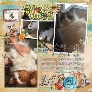 Pets