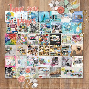 June 2017 - 40 pages
