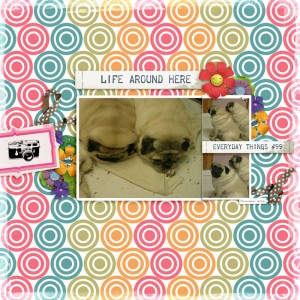 Temp-challenge-pugs-2012