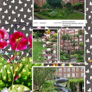 Dolphin Gardens